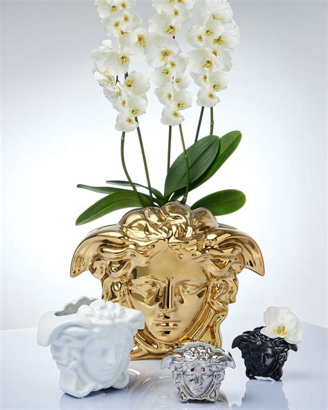 buy versace vase